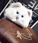 Adorable Plush Cat Hand & Shoulder Bag