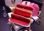 Genuine Leather Chain Luxe Mini Bag