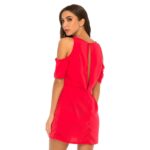 Deep Plunge Open Back Mini Dress