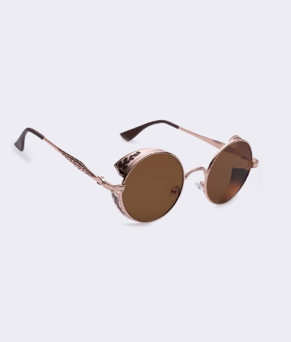 brown round metal sun glasses