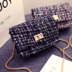 Gold Chain Mini Shoulder Bag