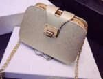 Genuine Leather Chain Luxe Mini Bag