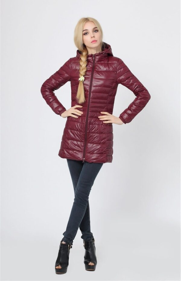 shiny 6 color slim jacket burgundy