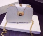 Genuine Leather Chain Luxe Mini Bag